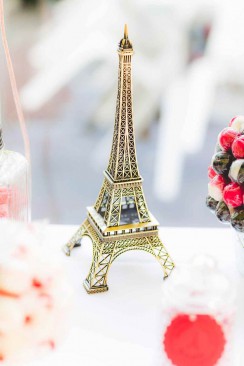 Paris inspirierte Hochzeit von Madalina Sheldon ...